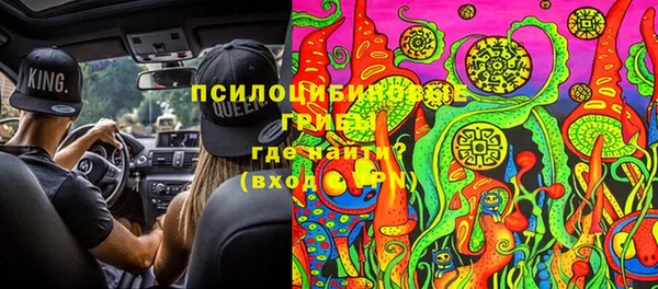 стаф Абаза