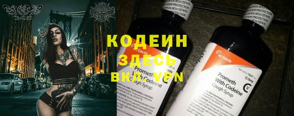 стаф Абаза
