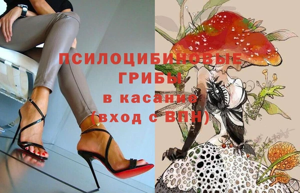 стаф Абаза