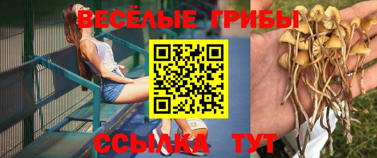 Галлюциногенные грибы Magic Shrooms  Вход с VPN  Липецк 